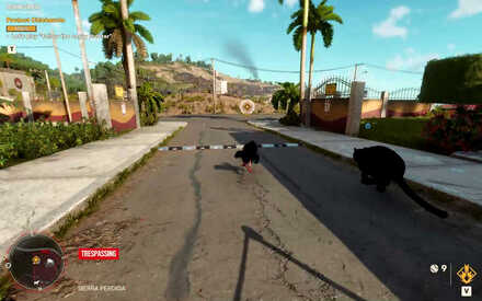 Far Cry 6 - Yaran Story - Pecking Orders Follow Chicharron.jpg