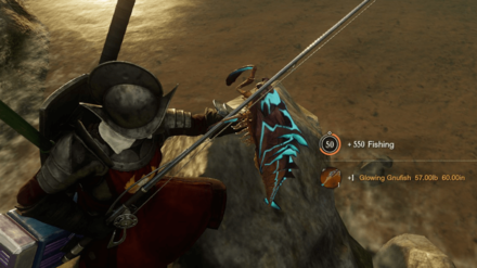 New World - Catch Big and Rare Fish