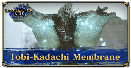 Monster Hunter Rise (MH Rise) - Tobi-Kadachi Membrane Banner