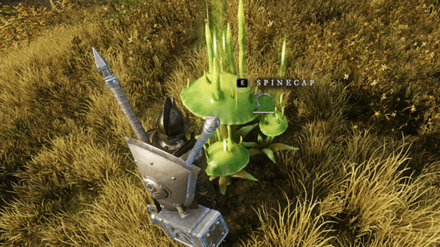 New World - Spinecap Resource Node