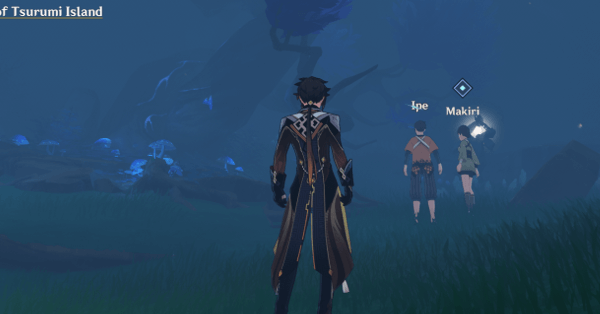 Genshin - Sea of Fog and the Rite of the Trees - Talk to the People of Tsurumi