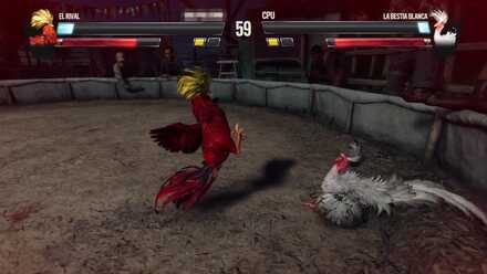 Cockfighting Guide