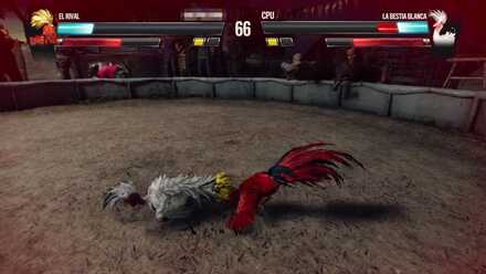 Cockfighting Guide