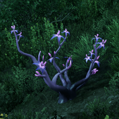 Weeping Shellbed Icon