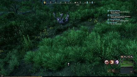 New World - Weeping Shellbed Resource Node