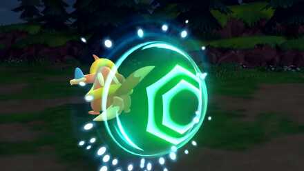 Pokemon BDSP Protect