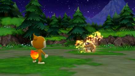 Pokemon BDSP Ember