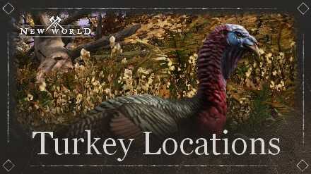 Turkey Location Banner