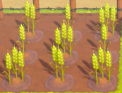 ACNH - Wheat