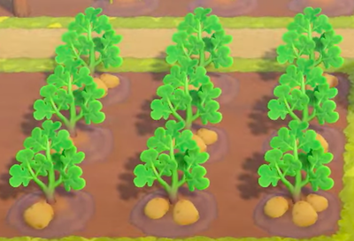 ACNH - Potatoes