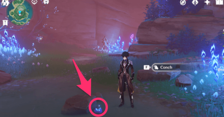 Genshin - Tsurumi Conch Location 3