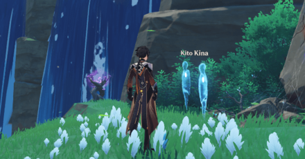 Genshin - Kito and Kina Location 4