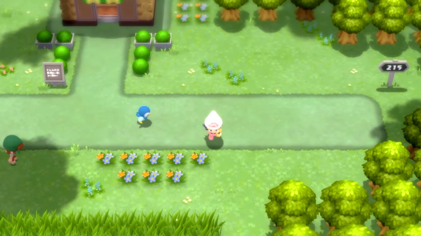 Pokemon BDSP Following Piplup