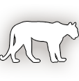 Cougar Image