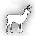Deer Image
