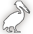 Pelican Image