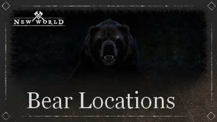 Bear Locations