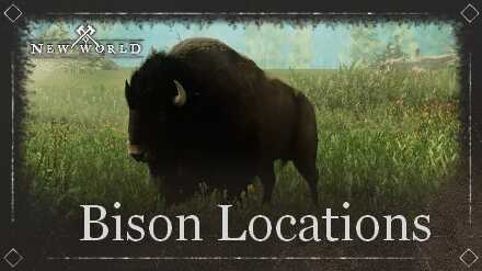 Bison Locations.jpg