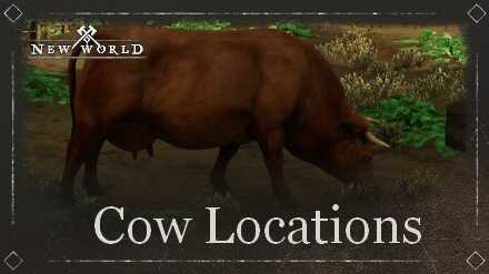 Cow Locations