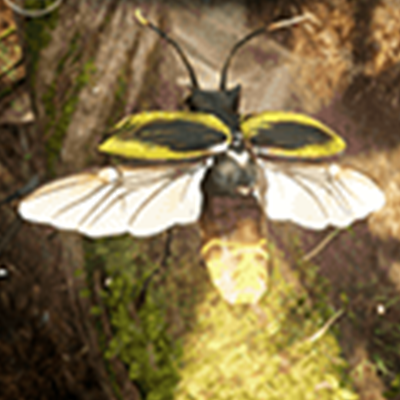 Lightning Beetle Icon