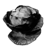 Cabbage Icon