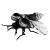 Lightning Beetle Icon