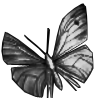 Lifemoth Icon