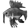 Floating Spinefish Icon