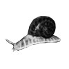 Salamander Snail Icon