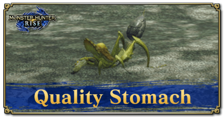 Monster Hunter Rise (MH Rise) - Quality Stomach Banner