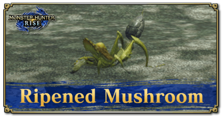 Monster Hunter Rise (MH Rise) - Ripened Mushroom Banner