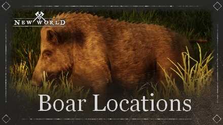 All Boar Locations