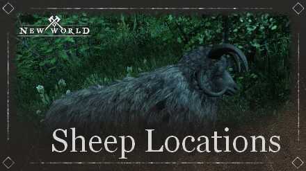 All Sheep Locations.jpg