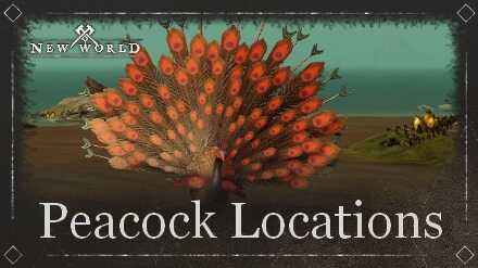 Peacock Locations
