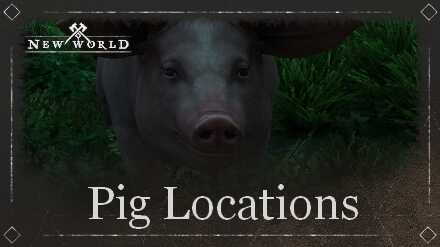 Pig Locations
