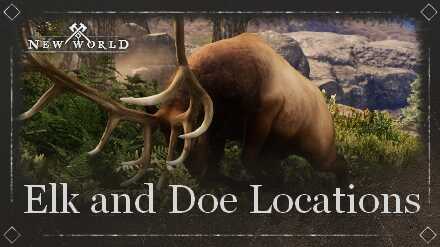 Elk and Doe Locations