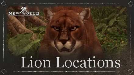 All Lion Locations