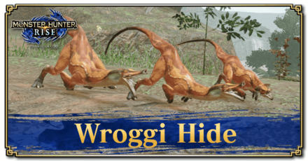 Monster Hunter Rise (MH Rise) - Wroggi Hide Banner