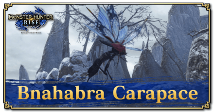 Monster Hunter Rise (MH Rise) - Bnahabra Carapace Banner