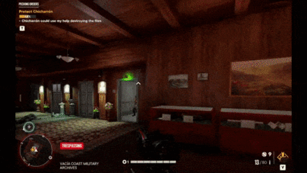 Chicharron Pecking Orders.gif