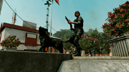 Far Cry 6 - Amigo Abilities.png