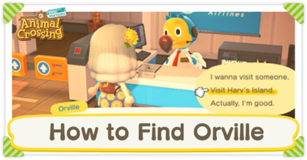 List of Poki Furniture ACNH - Animal Crossing: New Horizons (Switch)|Game8