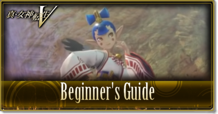 Beginner