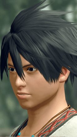 MH Rise - Utsushi Cut