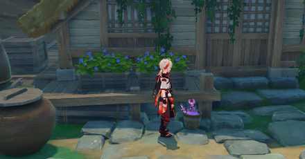 Genshin - Yashiori Island - Leave 12 Naku Weeds