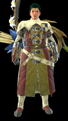 Guild Cross Armor Set (Male)