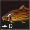 Far Cry 6 - Carp Meat