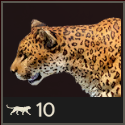Far Cry 6 - Jaguar Meat