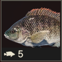 Far Cry 6 - Tilapia Meat
