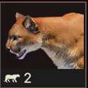 Far Cry 6 - Cougar Meat